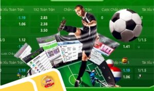 Tỷ lệ kèo với cách hiểu chính xác từ chuyên gia