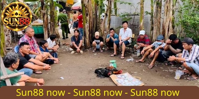 Đá gà Thomo Sun88 - Trải nghiệm đấu trường rực lửa uy tín 3 Đá gà ở Việt Nam